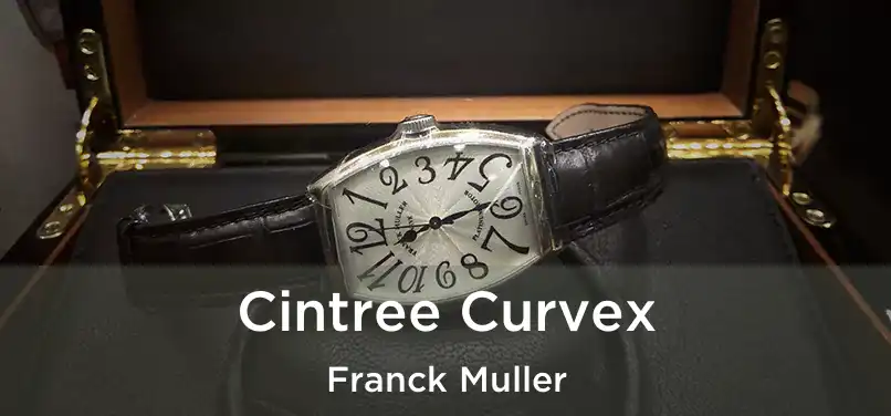  Cintree Curvex Franck Muller