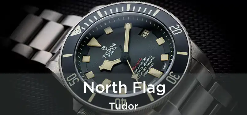  North Flag Tudor